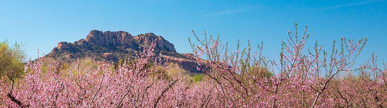 intranet.roquebrune.com